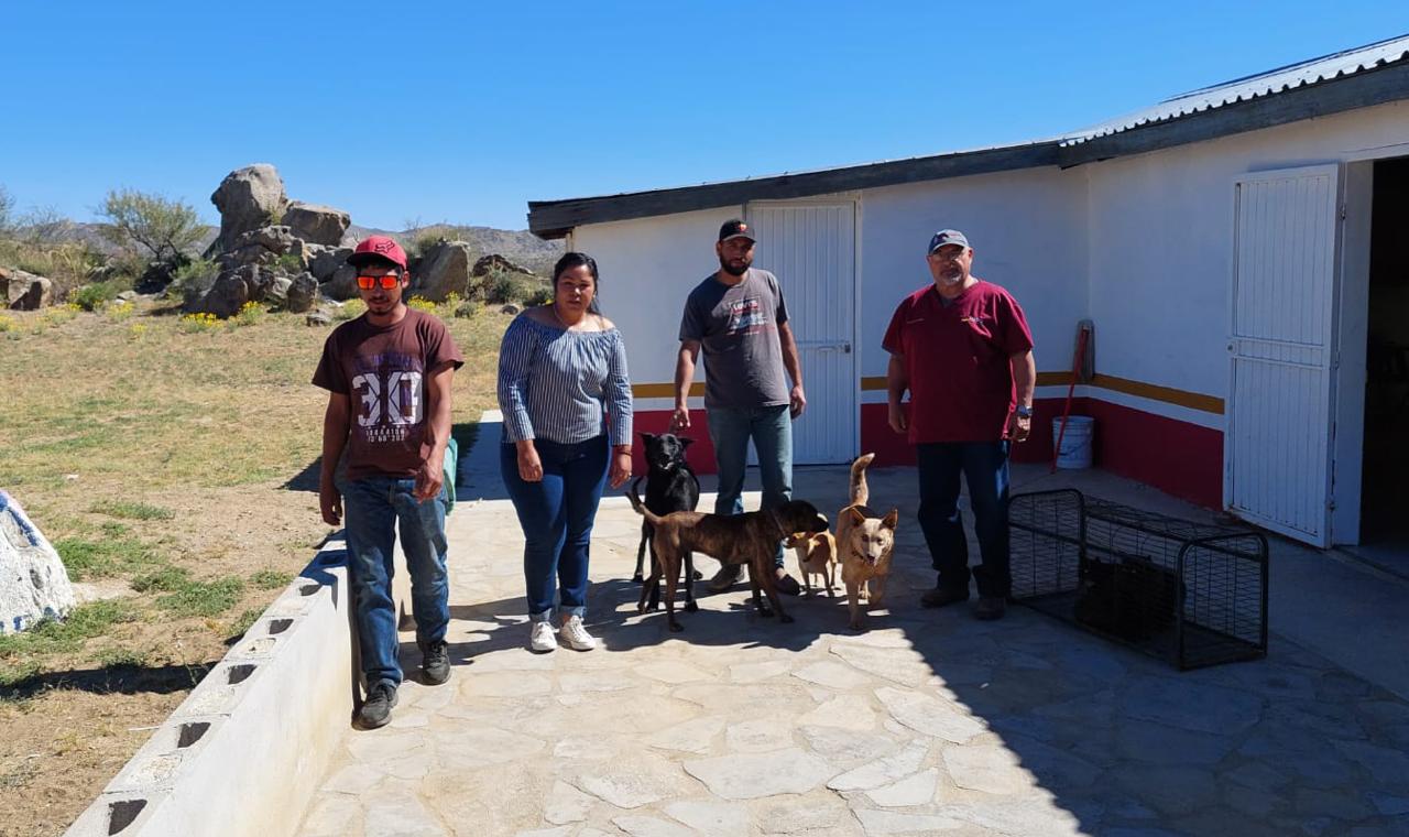 OFRECE JSSE ESTERILIZACIONES GRATUITAS A ZONAS RURALES DE ENSENADA