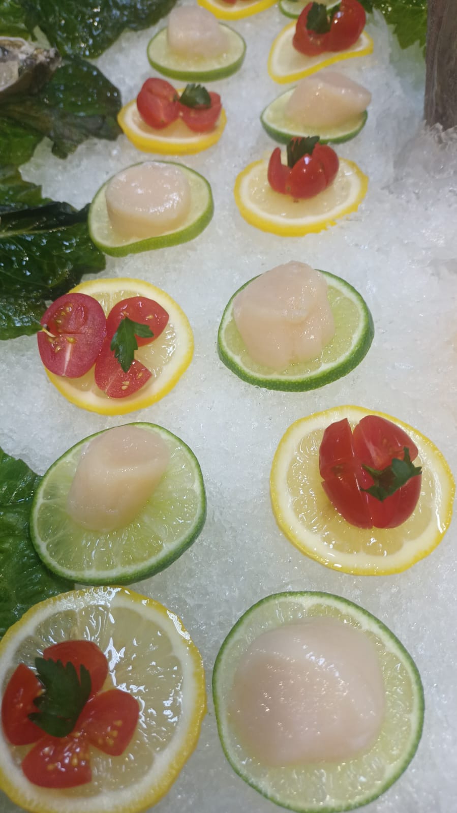 INTERESA A PRODUCTORES JAPONESES EL PROCESO DE OSTRAS EN PLANTAS CERTIFICADAS DE ENSENADA: SEPESCA